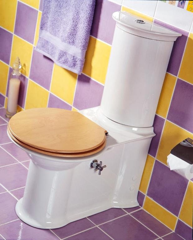 Bathroom Design Photos Lovetoknow Purple And Yellow Bathroom