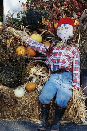 Homemade scarecrow decoration