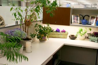 10 DIY Cubicle Decor Ideas for Better Working Space - Talkdecor