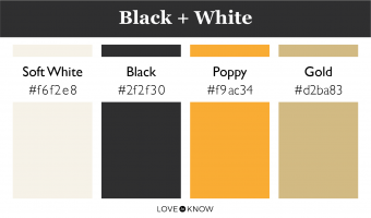 Color Palette Balck + White