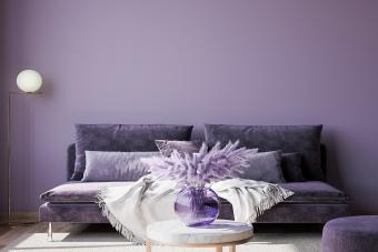 plum color paint in bedroom