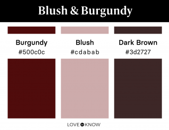 Blush and Burgundy Color Swatches