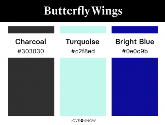 Butterfly wings color palette