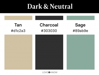 Dark & neutral color palette