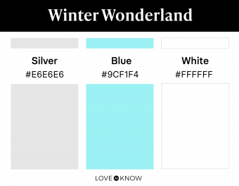 Winter wonderland color palette