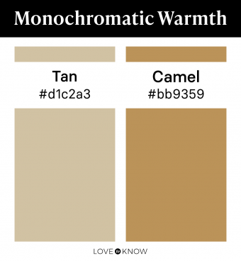 Color Beige Vs Tan