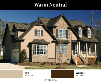 Warm Neutral Color Palette 