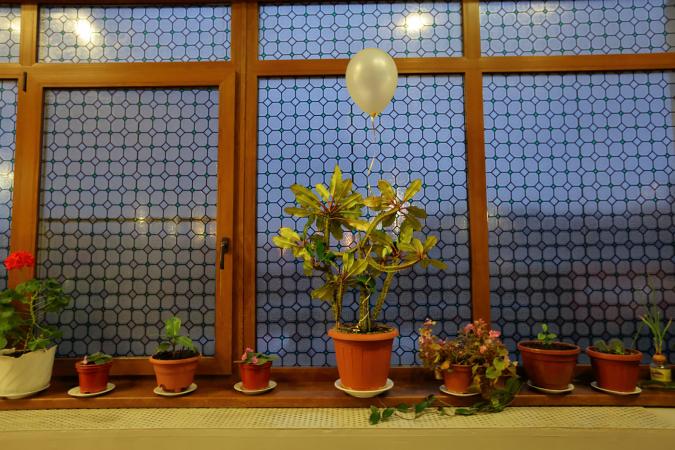 Window with film