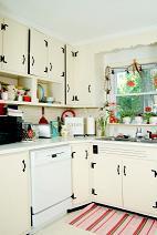 kitchen cabinets in a retro style