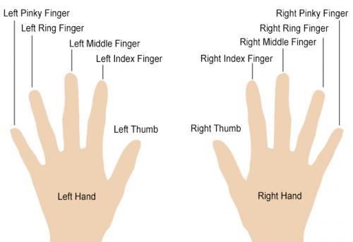 male ring finger