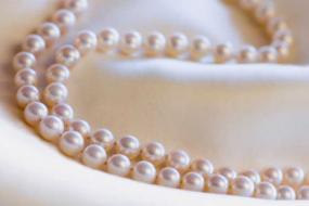 Photo of an Akoya pearl necklace