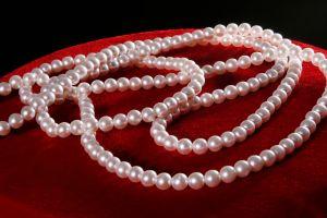 Necklace Trays