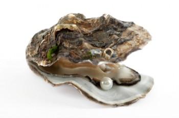 Pearl inside an open oyster