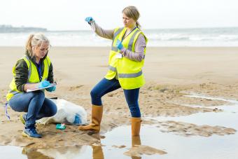 Scientist analyzing Sea Water