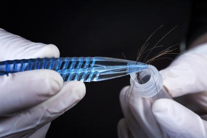 forensic science careers list lovetoknow crime laboratory analyst