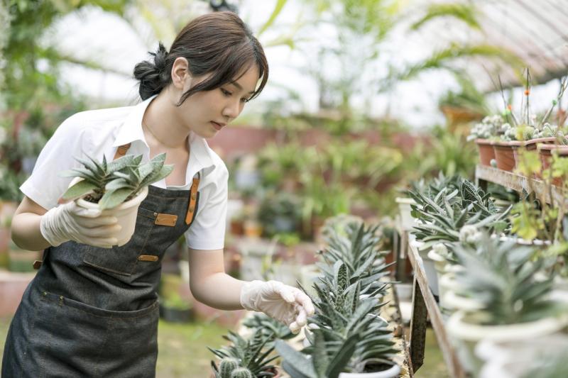 20 Careers With Plants to Consider If You Have a Green Thumb LoveToKnow
