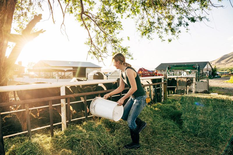 Summer Farm Jobs LoveToKnow