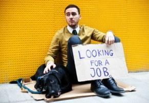 Unemployed Canadian looking for a job