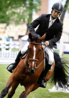 male horseback rider