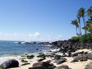Image of ocean shorline landscape