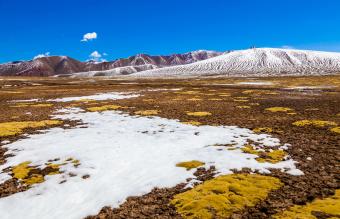 View of Tundra on Qinghai-Tibet Plateau