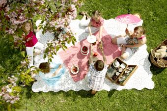 Children having picnic in countryside