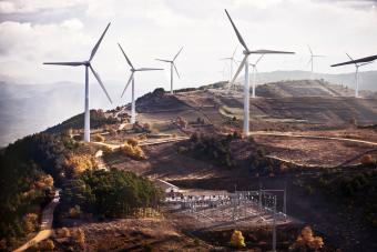 Wind farm and electrical substation