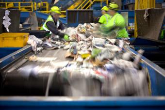 separating garbage on recycling belt