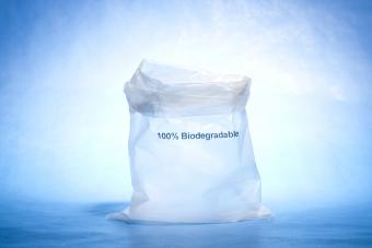 Biodegradable Plastic Bag