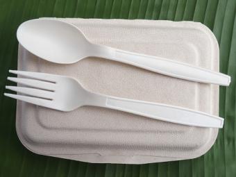 bioplastic spoon fork lunch box