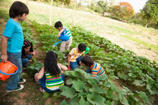 kids gardening on a farm