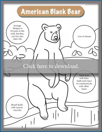 Free Printable Kids' Activities | LoveToKnow