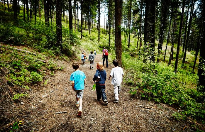 Kids walking on trail in forest