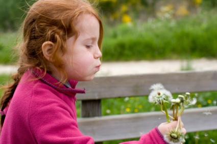 Waldorf Schools