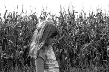 young girl in corn field