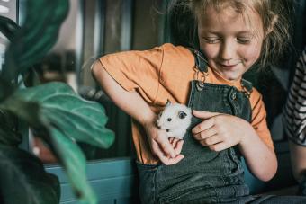 young girl plays with a curious little hamster 