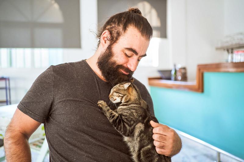 27 Cat Rescue Quotes to Celebrate a Second Chance LoveToKnow Pets