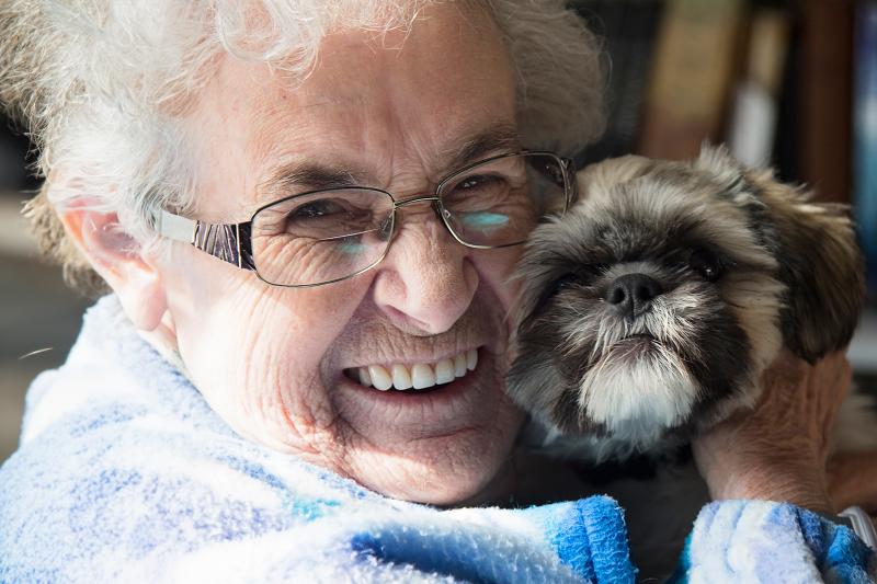 10 Best Dog Breeds for Seniors to Keep You Active & Joyful LoveToKnow