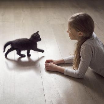 https://cf.ltkcdn.net/life-with-pets/fun-with-pets/images/slide/321333-850x850-kittie-and-girl.jpg