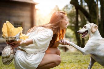 Celebrating easter with dog