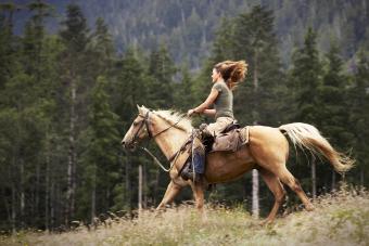 Woman riding horse through field