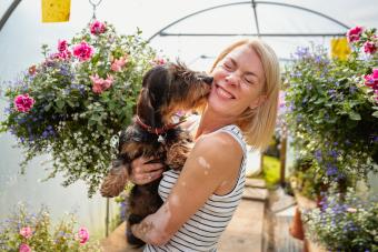 Dachshund Gives Her Owner a Kiss 