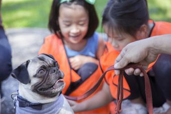 Family wearing safety vest and dog on a leash