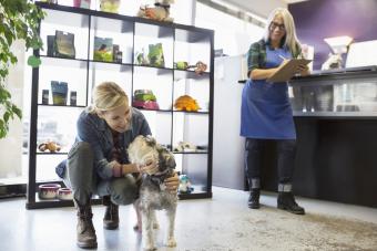 Woman saying goodbye to schnauzer at dog daycare