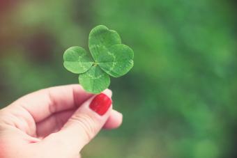 https://cf.ltkcdn.net/life/astrology/images/slide/341060-850x566-leaf-clover-573552243.jpg