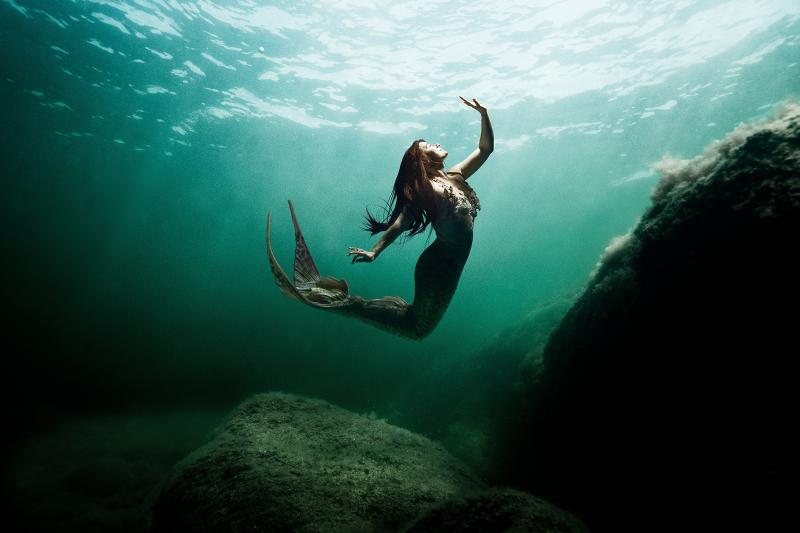 What Mythical Creature Are You Based on Your Zodiac Sign? | LoveToKnow
