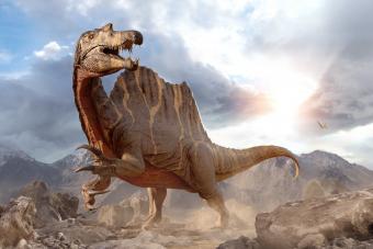 Tyrannosaurus rex: The world's most popular dinosaur