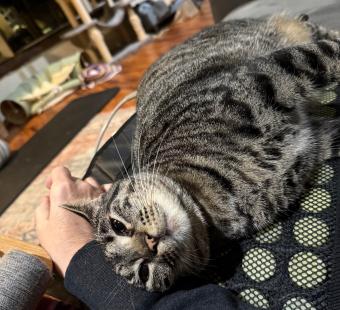 Sedona on my heating pad