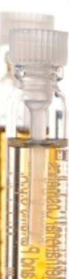 Clinique Perfume Review