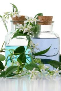 Jasmine with colored liquid